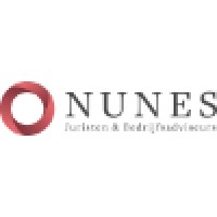 Nunes Juristen en bedrijfsadviseurs logo - Similar company to Light Up