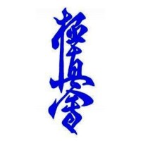 Kyokushinkai Karate logo - Similar company to World Shotokan Karate-Do Federation (Wskf)