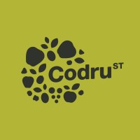 Codru-ST logo - Similar company to Biateca