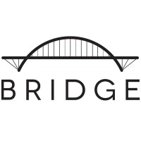 Bridge Software - Consumer Credit Waterfall/Water Wheel logo - Similar company to Computational Software & Analysis