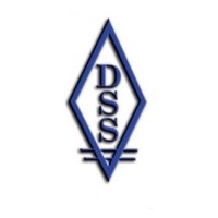 Definitive Staffing Solutions, Inc logo - Similar company to Integrity Staffing
