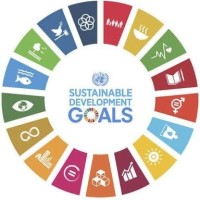 SDGs Lagos logo - Similar company to Eco-Ed Connect