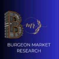 Burgeon market research logo - Similar company to Oneclick Technologies Llc