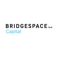 Bridgespace Capital logo - Similar company to Bridgespace