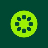 Kiwi Agency logo - Similar company to Wild Tulum