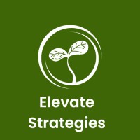 Elevate Strategies logo - Similar company to Quantiquest