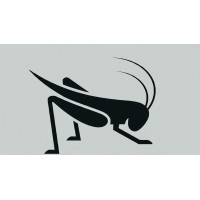 Ticket Cricket LLC logo - Similar company to Nebula Llc