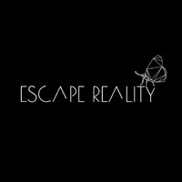 Escape Reality India logo - Similar company to Insight