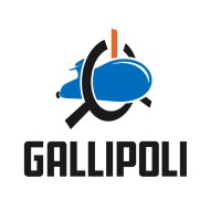Gallipoli XI logo - Similar company to Designx