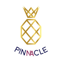 PINNACLE logo - Similar company to Lit Creativo