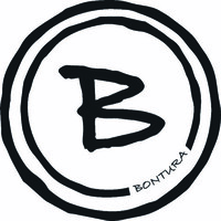 Bontura logo - Similar company to Via Fortis