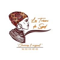 LES TRESORS DE SYND logo - Similar company to Ape-Lbp (École Jacques Prévert Et Lycée Français Blaise Pascal D'Abidjan)