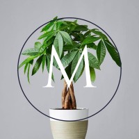 Malabar Properties logo - Similar company to Komdigit