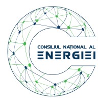 National Energy Council logo - Similar company to Sarco Engineering