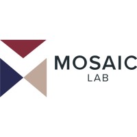 Mosaic Lab logo - Similar company to Wetraq