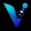 Vision Flow Technologies logo - Similar company to D It Solutions