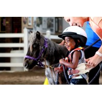 Starbrite Therapeutic Equestrian Center logo - Similar company to Lecturelogger