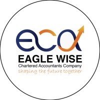 Eagle Wise Chartered Accountants Company logo - Similar company to Goolrant Technologies