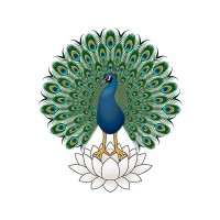 Valecha Limited logo - Similar company to Sim Valecha