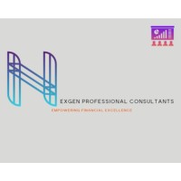 NEXGEN PROFESSIONAL CONSULTANTS logo - Similar company to Nexgen Operations