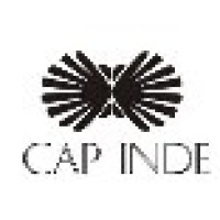 Cap Inde Coirs Private Limited logo - Similar company to Ricoh It