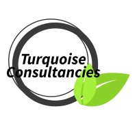 Turquoise Consultancy Services logo - Similar company to The Stratton Group