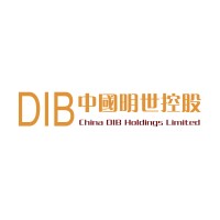 China DIB Holdings Limited logo - Similar company to Arctic Capital