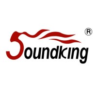SOUNDKING International logo - Similar company to Sunfly Solutions
