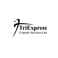 TriExpress Courier Services logo - Similar company to Vibeonix