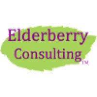 Elderberry Consulting, LLC logo - Similar company to Bitchain