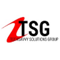 Techsavvy Solutions Group logo - Similar company to Data Tech Llc