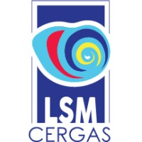 LSM Cergas logo - Similar company to Koruworks