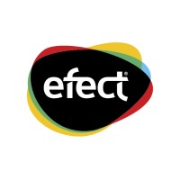 EFECT logo - Similar company to Cluj It Cluster