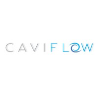 CAVIFLOW logo - Similar company to Socioify