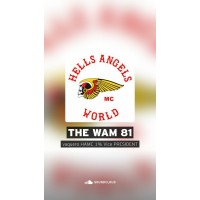 Hells Angels M/C SFV logo - Similar company to Hamcd