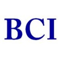 BCI Executive Search logo - Similar company to Pmp Practitioners