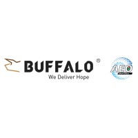 BUFFALO INTERNATIONAL LOGISTICS logo - Similar company to Lmc Express