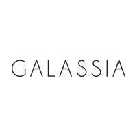 Galassia logo - Similar company to Galassia Srl