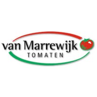 Van Marrewijk Tomaten logo - Similar company to Alvonto