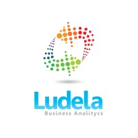 Ludela Business Analytics logo - Similar company to Teikiapp
