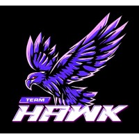 Team Hawk logo - Similar company to Team-Hawks