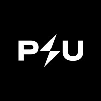 PAYMENT4U logo - Similar company to Vdt Technology A.S.
