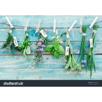 Bruge Spices & Medical Herbs logo - Similar company to Beeckman Spices