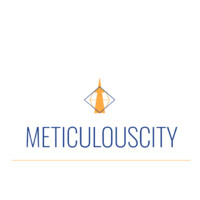 Meticulouscity logo - Similar company to Dsco.Io