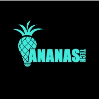 AnanasTech