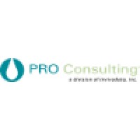 Pro Consulting