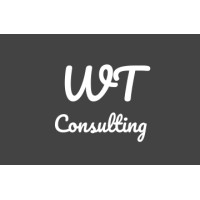 White Team Consulting logo - Similar company to Thewhiteam