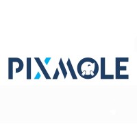 PIXMOLE logo - Similar company to Visual Rights Group