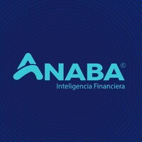 ANABA Inteligencia Financiera logo - Similar company to Dinero.Mx