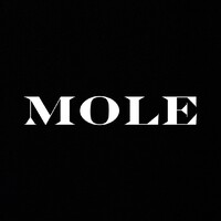 MOLE JEWELS logo - Similar company to Jows - Jewels Of Webmarketing Strategy